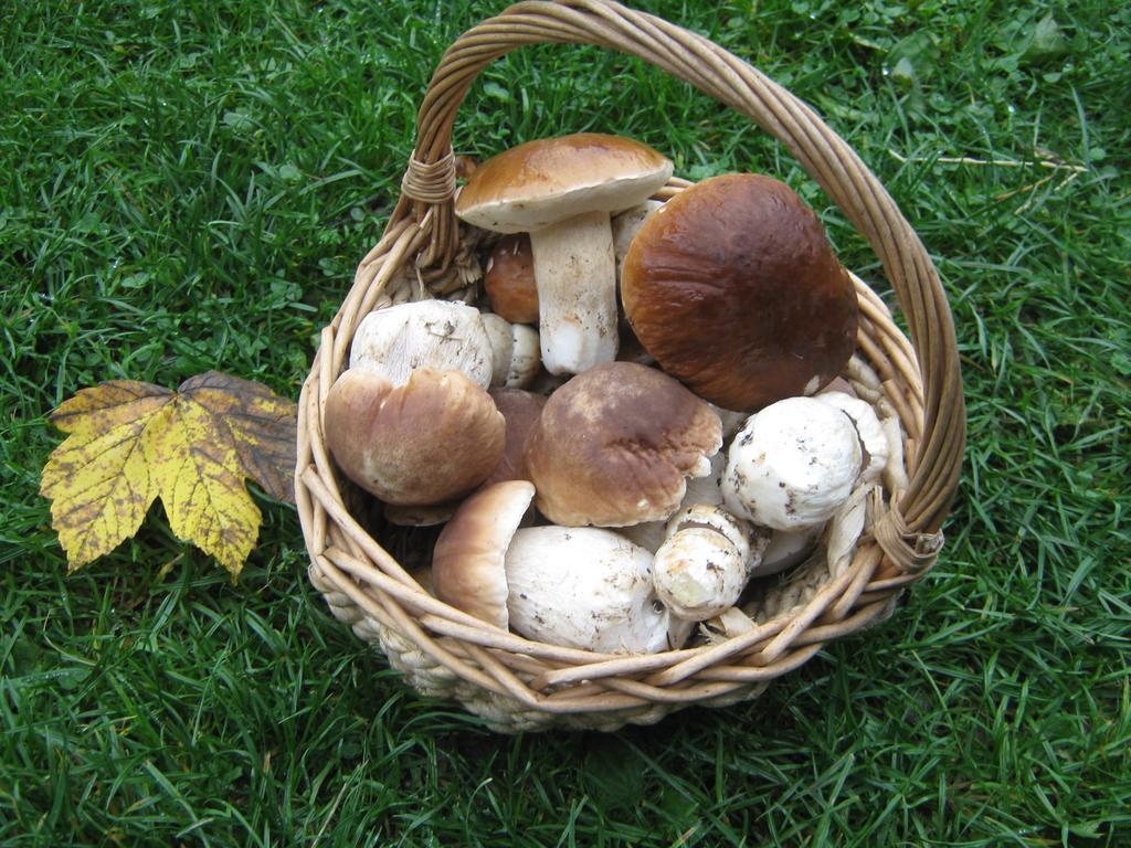 Penzion Pod Dobakom Lazisko Exterior foto