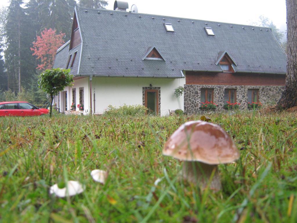 Penzion Pod Dobakom Lazisko Exterior foto